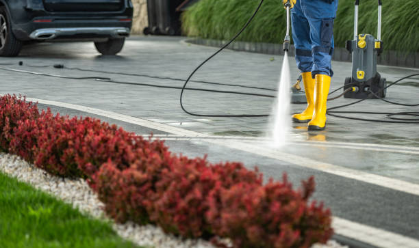 Trusted Gainesville, FL Pressure Washing Experts